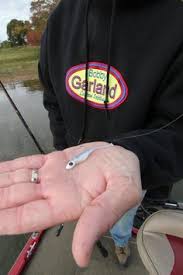 27 Best Bobby Garland Crappie Baits Images Crappie Bait