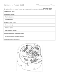 Plant and animal cell coloring sheets. Animal Plant Cell Worksheet