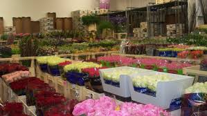 Check spelling or type a new query. Home N S Flowers Birmingham Wholesalers Of Fresh Flowers Sundries And Plants