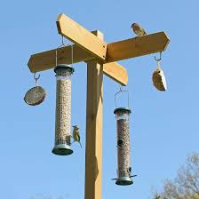 hanging bird feeding stations