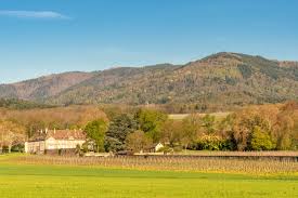 For the mountain range, see vosges mountains. Five Fast Facts About The Vosges Mountains The Bubbly Professor
