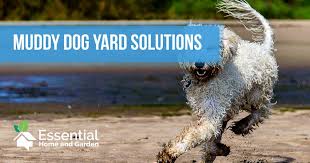 muddy dog yard solutions 5 solutions