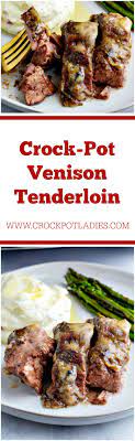 crock pot venison tenderloin crock