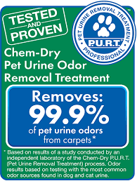 pet urine cleaning denver co pet