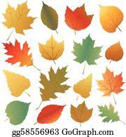 Thanksgiving turkey on autumn leaves texture. Autumn Leaves Clip Art Royalty Free Gograph