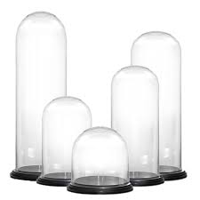 Large Glass Cloche Display Dome Black
