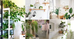 26 Beautiful Bathroom Plant Shelf Ideas