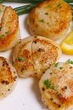 What does a bad scallops taste like?