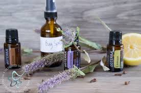 how to make essential oil bug spray