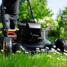 Lawn Mowers A Brief History And
