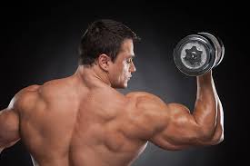 HD wallpaper: man, back, muscular, shoulders, dumbbells, bodybuilder |  Wallpaper Flare