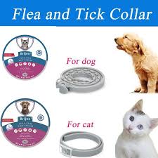 Pet Cat And Dog Repellent Collar Adjustable Mosquito Repellent Anti Flea Collar 8 Months Protection