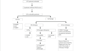 Flowchart Of The 127 Included Patients In This Study The