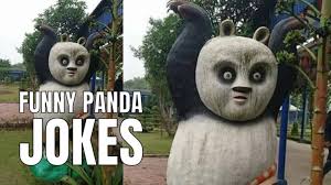 50 funny panda jokes to get your daily