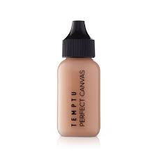 perfect canvas airbrush foundation temptu