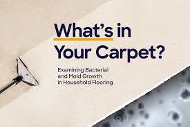 your carpet dirtier than a toilet seat
