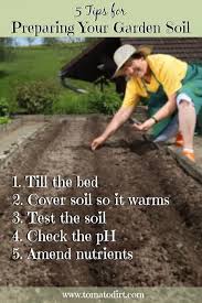 Your Soil For Planting Tomatoes