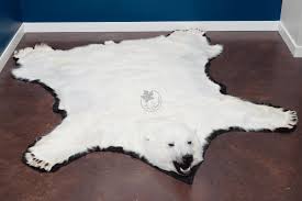 polar bear skin rugs furcanada