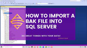 import a bak file into sql server