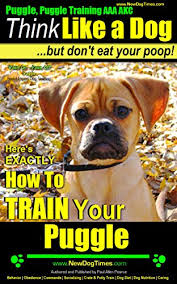 Puggle Puggle Training Aaa Akc Think Like A Dog But Dont Eat Your Poop Puggle Breed Expert Training Here Is Exactly How To Train Your Puggle