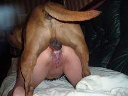 سكس كلب ❤️ Best adult photos at hentainudes.com