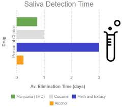 How To Pass Saliva Drug Test Top 2 Mouth Swab Drug Test Hacks