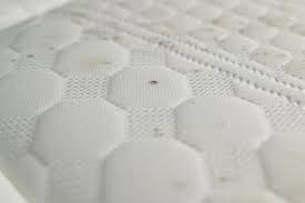mold on mattresses symptoms causes