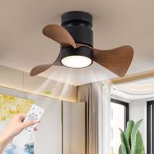 Black Outdoor Low Profile Ceiling Fan