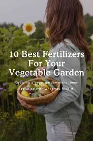 fertilizers for the vegetable garden