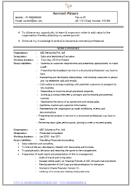 Resume Templates You Can Download   Free Resume Example And Writing Download