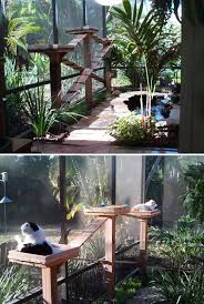 17 Cat Patio Ideas A Way To Pamper