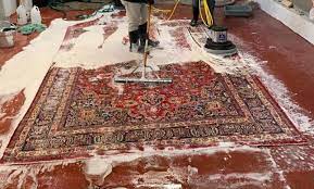 organic carpet cleaning service