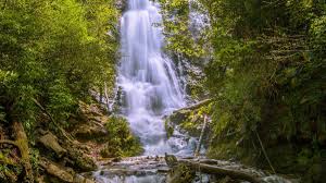 smoky mountain waterfall hikes 12