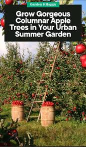 How To Grow Columnar Apple Trees In Your Urban Garden