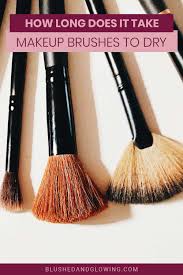 how long does it take makeup brushes to
