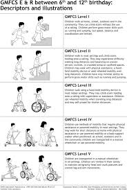 functional mobility and gait in