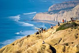 torrey pines state natural reserve in