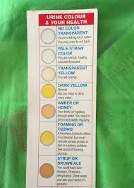 Urine Colour And Your Health Color Of Urine Health