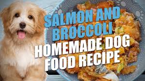 broccoli homemade dog food recipe