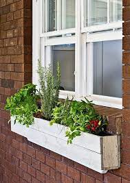 Best Window Box Vegetables How To