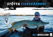 Vad fiskar man i Sverige?