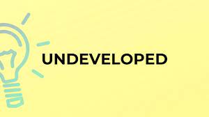 What is the meaning of the word UNDEVELOPED? - YouTube