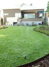 New Lawn Care Guide Perth Gardening