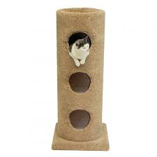 carpet cat condo three story with open top
