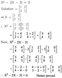 Matrix Equation X 2 2x 3i 0
