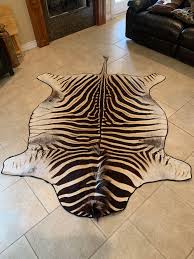 zebra rug the hide is real in