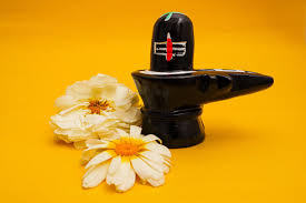 shiva linga decorated with flowers on