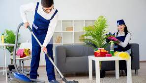 how to get professional carpet cleaning