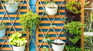 4 ways to grow vertical gardens in