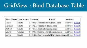 asp net gridview bind database table